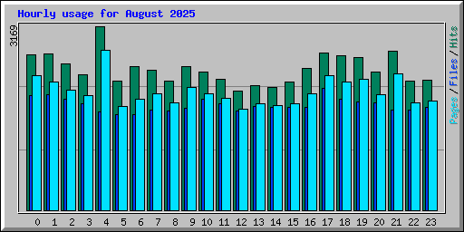 Hourly usage for August 2025